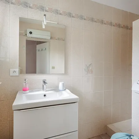 Les Mouettes Marennes (Charente-Maritime)