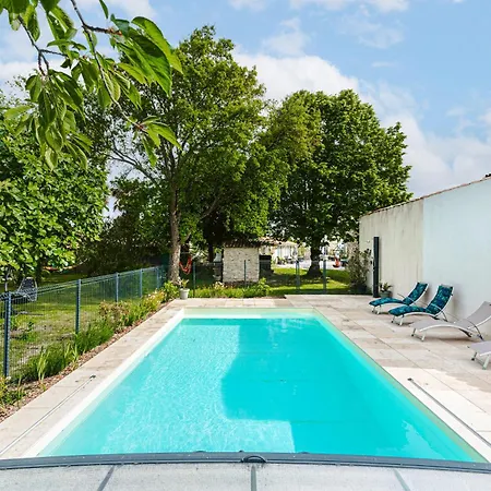 Les Mouettes Marennes (Charente-Maritime)