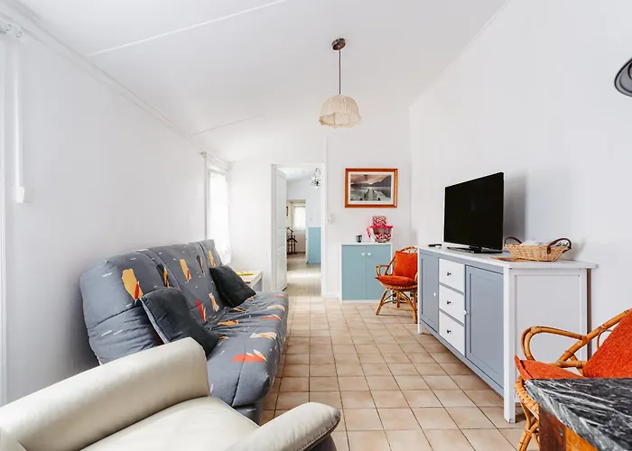 Les Mouettes Marennes (Charente-Maritime)