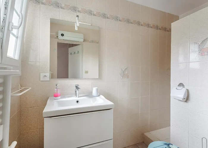 Les Mouettes Marennes (Charente-Maritime)